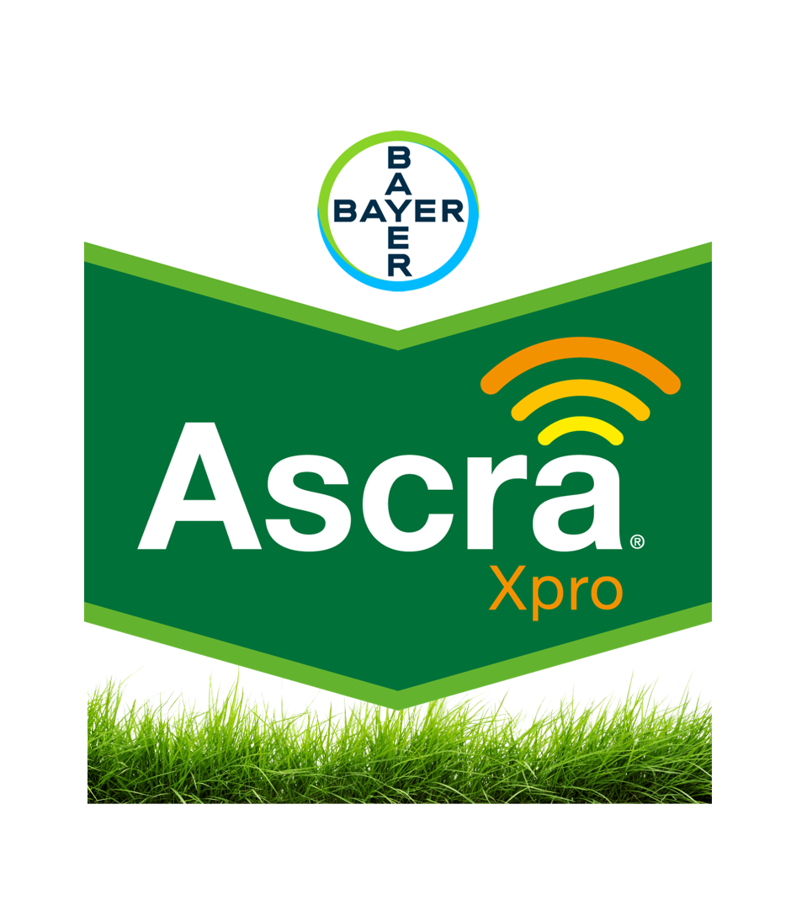 ASCRA XPRO (5l)