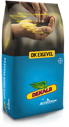 DK EXLEVEL