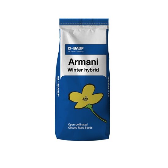 Ziemas rapsis Armani