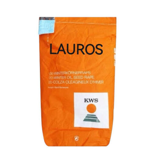 Ziemas rapsis KWS LAUROS