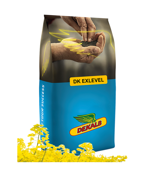 DK EXLEVEL